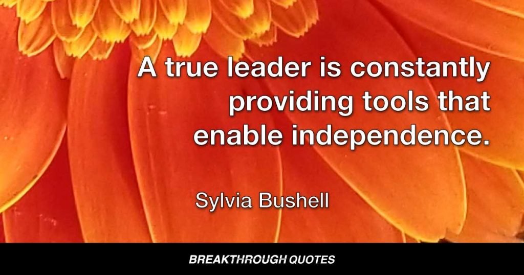A true leader is constantly providing tools that enable independence. — Sylvia Bushell