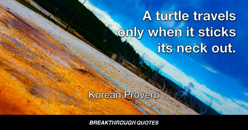 A turtle travels only when it sticks its neck out. — Korean Proverb