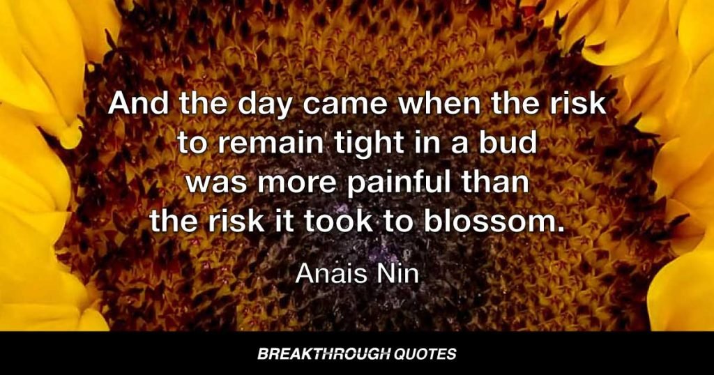 And the day came when the risk to remain tight in a bud was more painful than the risk it took to blossom. — Anais Nin