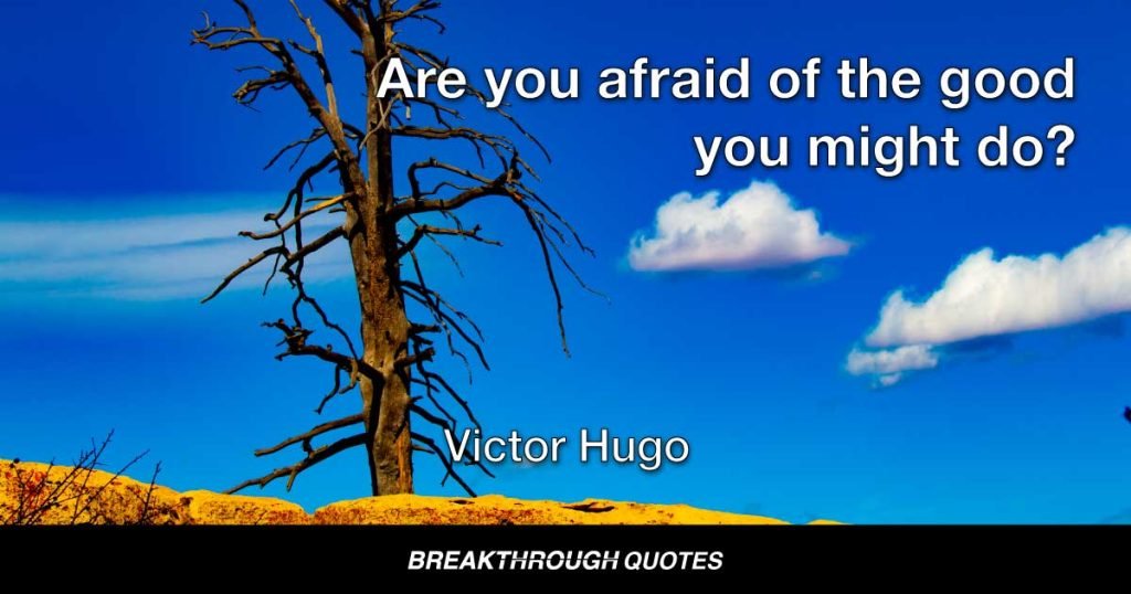 Are you afraid of the good you might do? — Victor Hugo