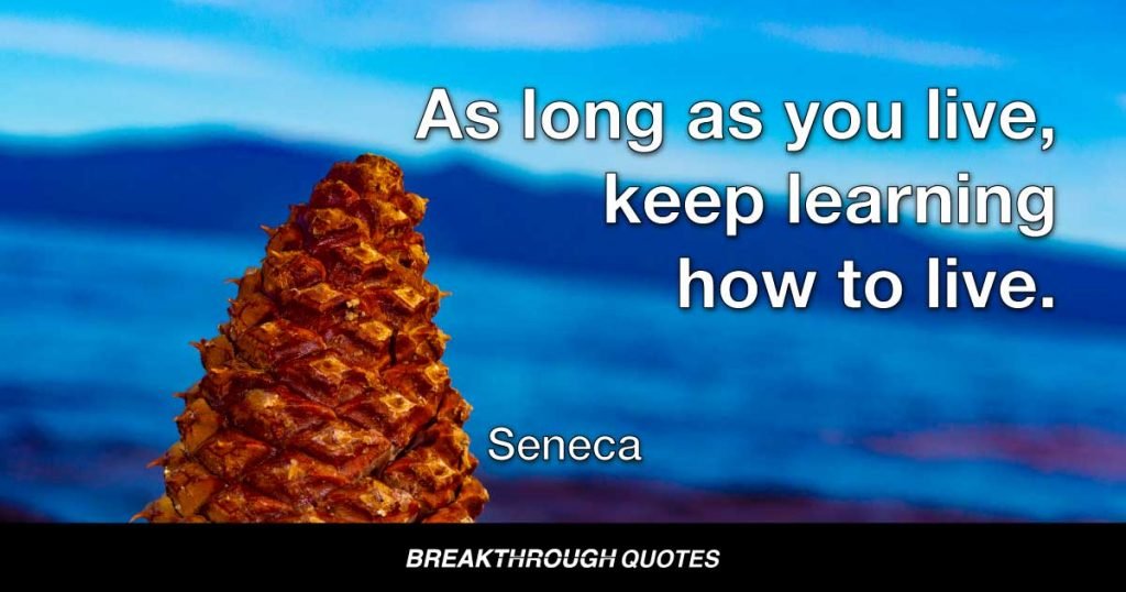 As long as you live, keep learning how to live. — Seneca