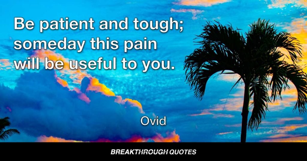Be patient and tough; someday this pain will be useful to you. — Ovid