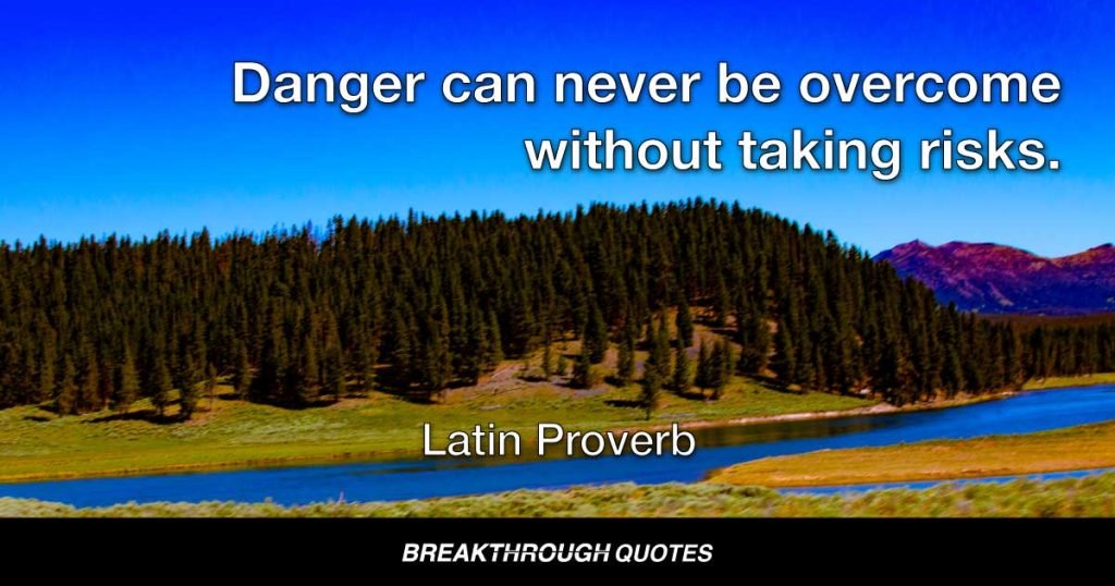 Danger can never be overcome without taking risks. — Latin Proverb