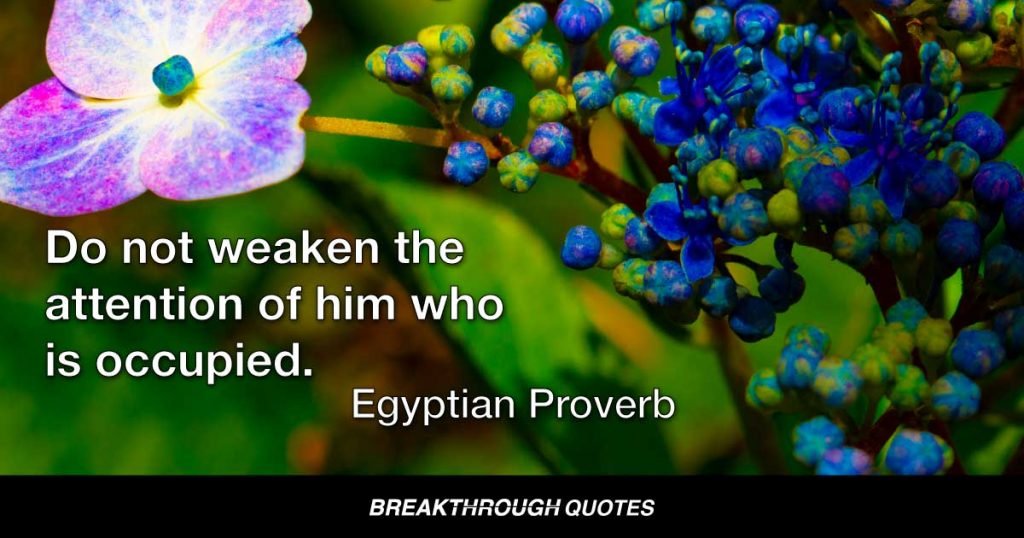 Do not weaken the attention of him who is occupied. — Egyptian Proverb