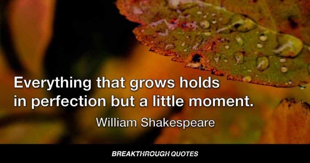 Everything that grows holds in perfection but a little moment. — William Shakespeare