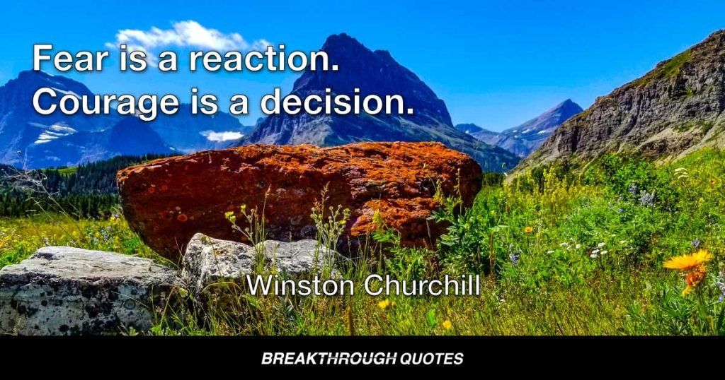 Fear is a reaction. Courage is a decision. — Winston Churchill