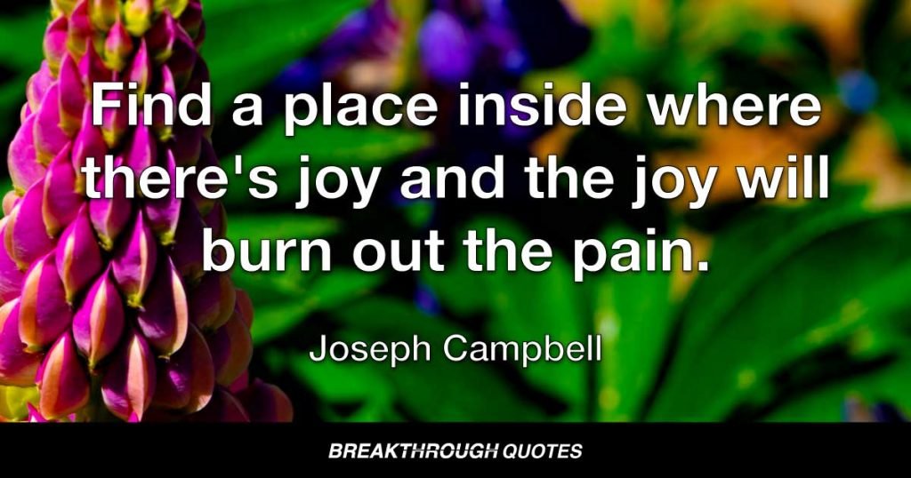 Find a place inside where there's joy and the joy will burn out the pain. — Joseph Campbell