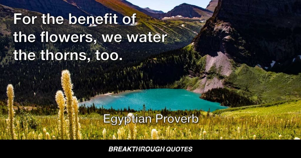 For the benefit of the flowers, we water the thorns, too. — Egyptian Proverb