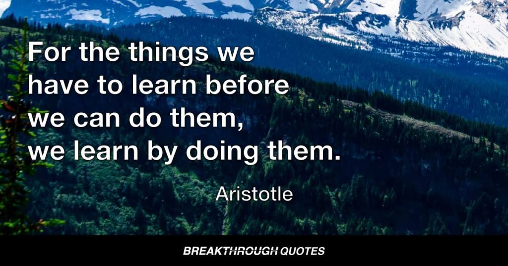For the things we have to learn before we can do them, we learn by doing them. — Aristotle