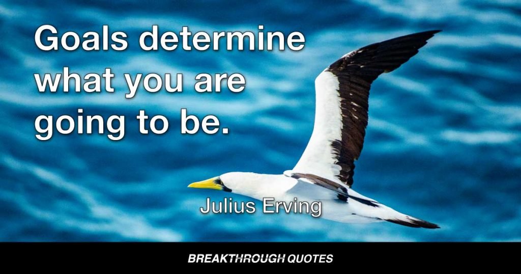 Goals determine what you are going to be. — Julius Erving