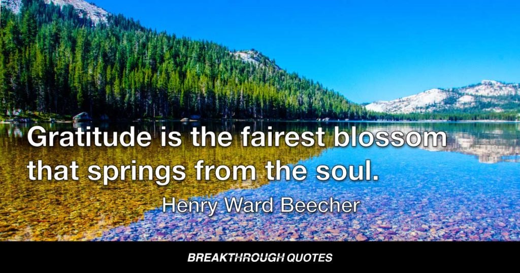 Gratitude is the fairest blossom that springs from the soul. — Henry Ward Beecher