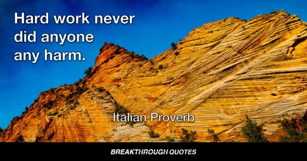 Hard work never did anyone any harm. — Italian Proverb