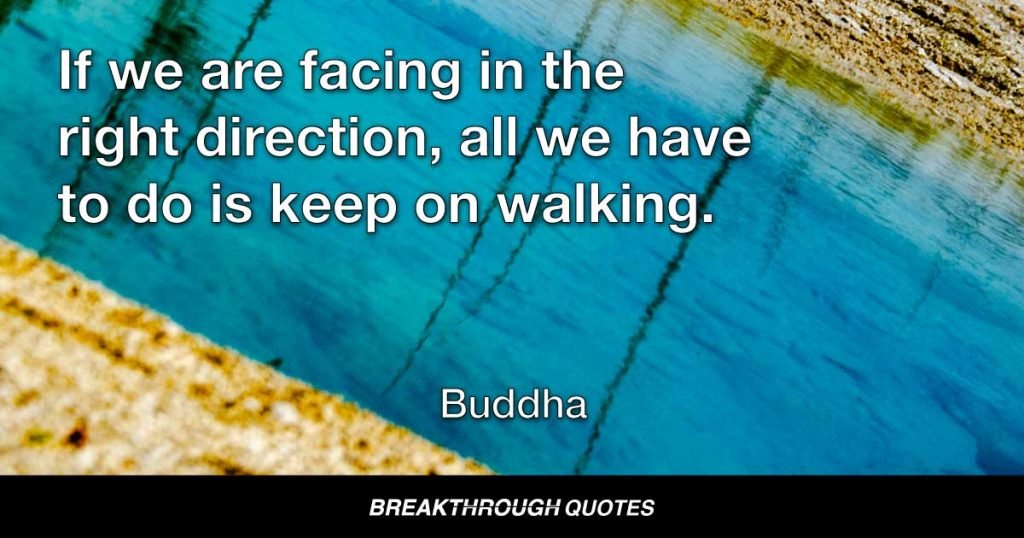 If we are facing in the right direction, all we have to do is keep on walking. — Buddha