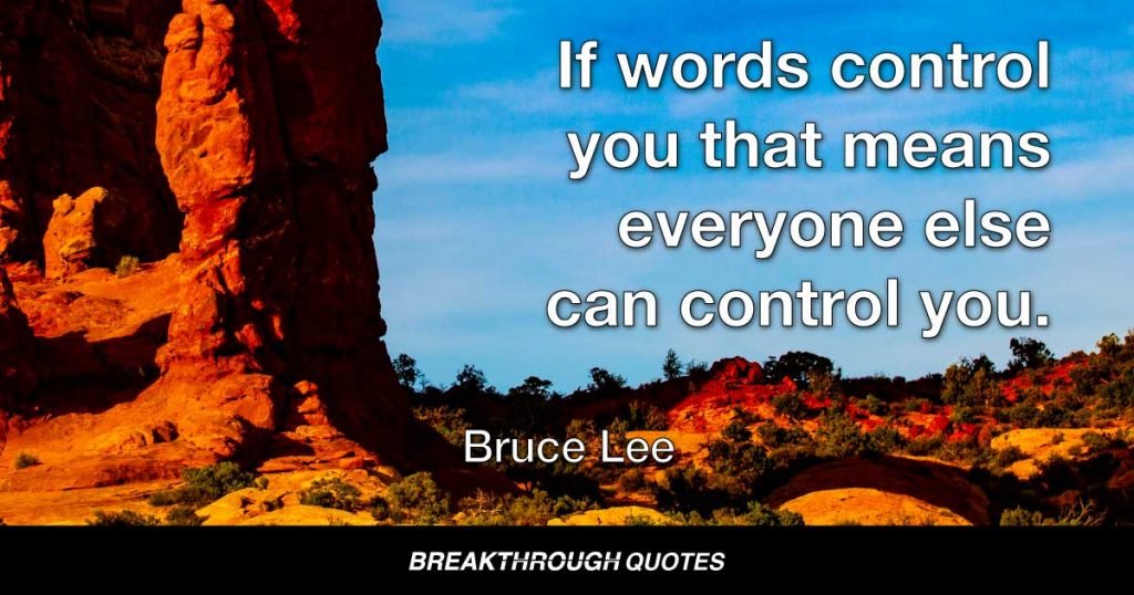 You will continue to suffer if you have an emotional reaction to everything that is said to you. True power is sitting back and observing everything with logic. If words control you that means everyone else can control you. Breathe and allow things to pass. — Bruce Lee