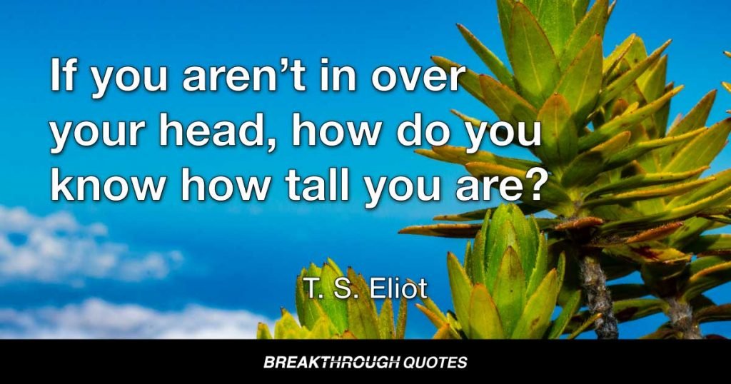If you aren’t in over your head, how do you know how tall you are? — T. S. Eliot