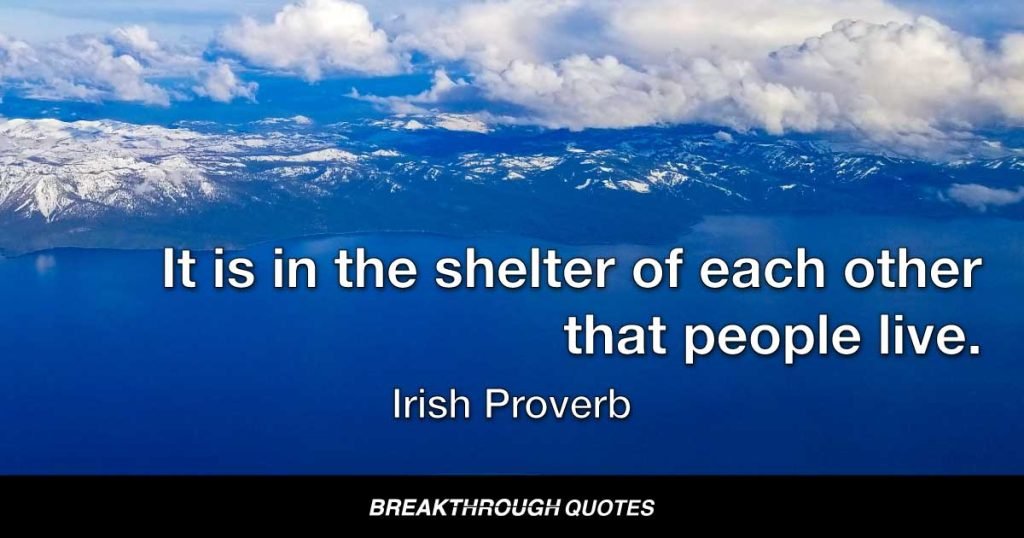 It is in the shelter of each other that people live. — Irish Proverb