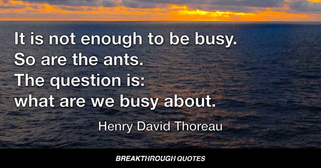 It is not enough to be busy. So are the ants. The question is: what are we busy about? — Henry David Thoreau