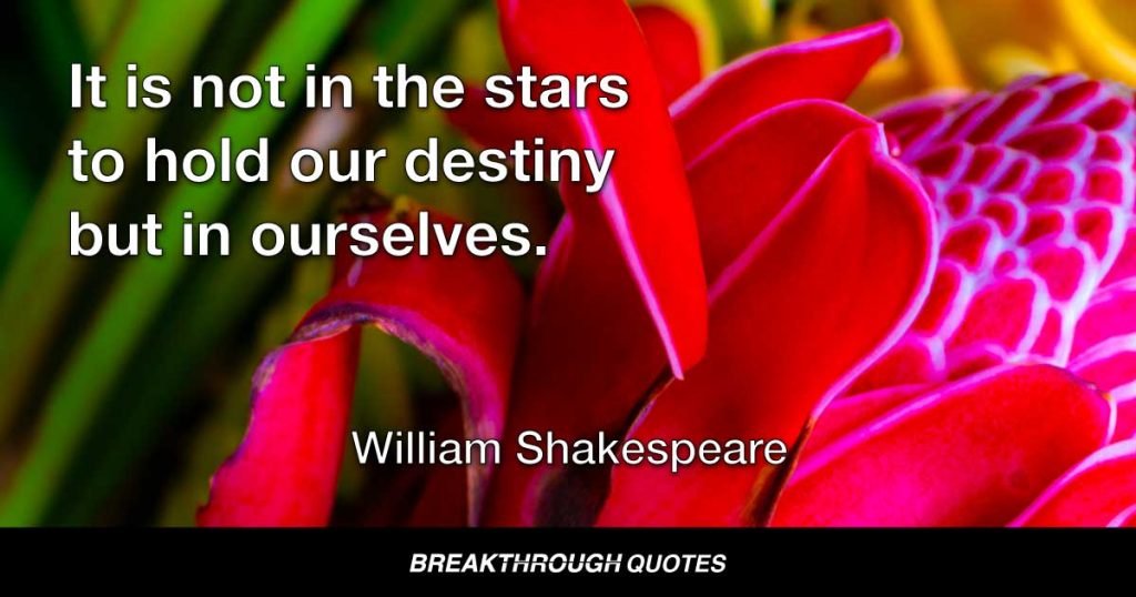It is not in the stars to hold our destiny but in ourselves. — William Shakespeare