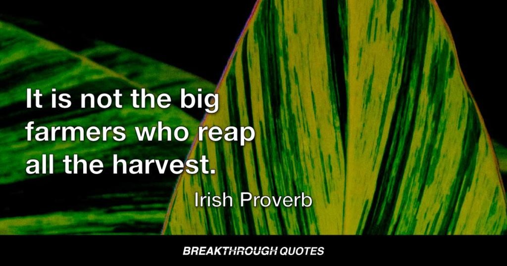 It is not the big farmers who reap all the harvest. — Irish Proverb
