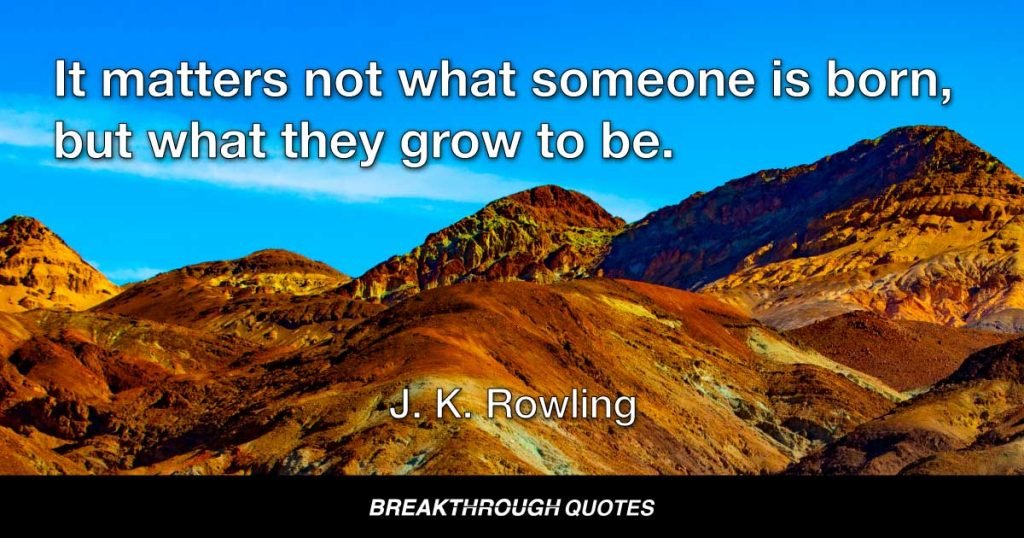 It matters not what someone is born, but what they grow to be. — J.K. Rowling