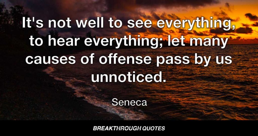 It's not well to see everything, to hear everything; let many causes of offense pass by us unnoticed. — Seneca