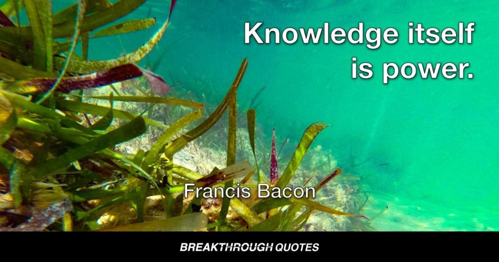 Knowledge itself is power. — Francis Bacon