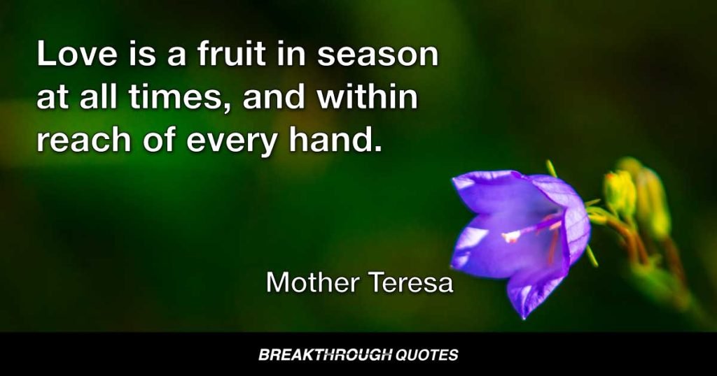 Love is a fruit in season at all times, and within reach of every hand. — Mother Teresa