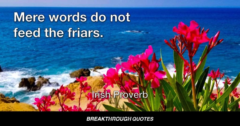 Mere words do not feed the friars. — Irish Proverb