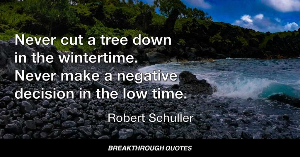 Never cut a tree down in the wintertime. Never make a negative decision in the low time. — Robert Schuller