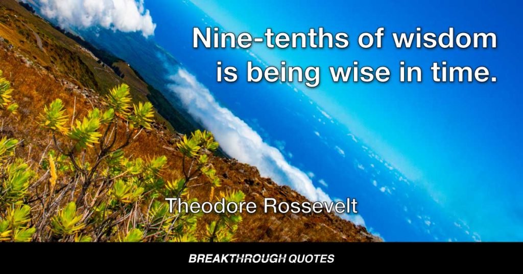 Nine-tenths of wisdom is being wise in time. — Theodore Roosevelt