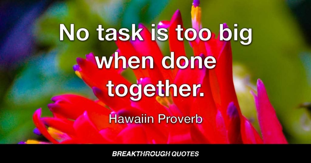 No task is too big when done together. — Hawaiin Proverb