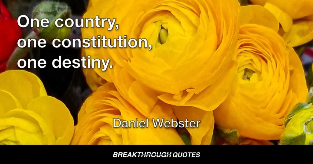 One country, one constitution, one destiny. — Daniel Webster