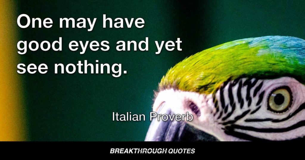 One may have good eyes and yet see nothing. — Italian Proverb