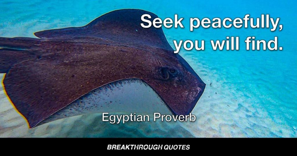 Seek peacefully, you will find. — Egyptian Proverb