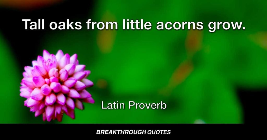 Tall oaks from little acorns grow. — Latin Proverb