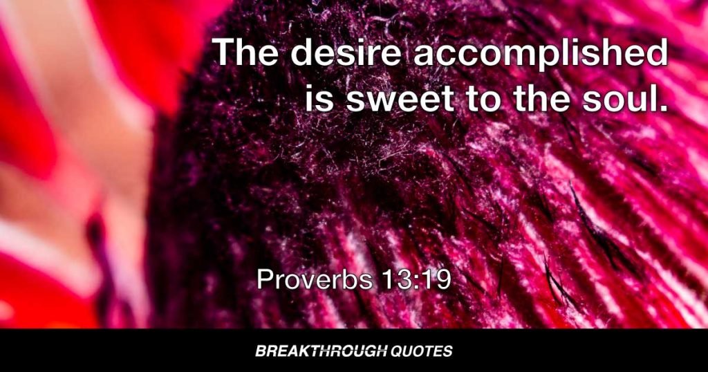 The desire accomplished is sweet to the soul. — Proverbs 13:19
