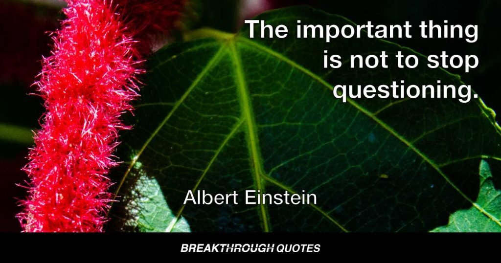 The important thing is not to stop questioning. — Albert Einstein