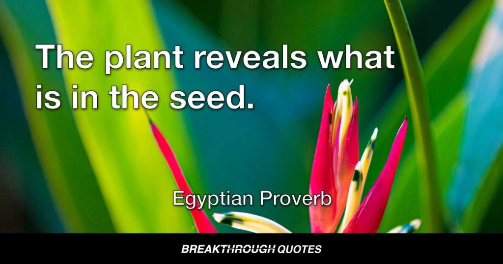 The plant reveals what is in the seed. — Egyptian Proverb