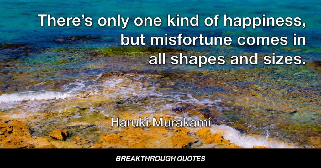 There’s only one kind of happiness, but misfortune comes in all shapes and sizes. — Haruki Murakami