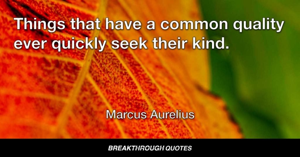 Things that have a common quality ever quickly seek their kind. — Marcus Aurelius