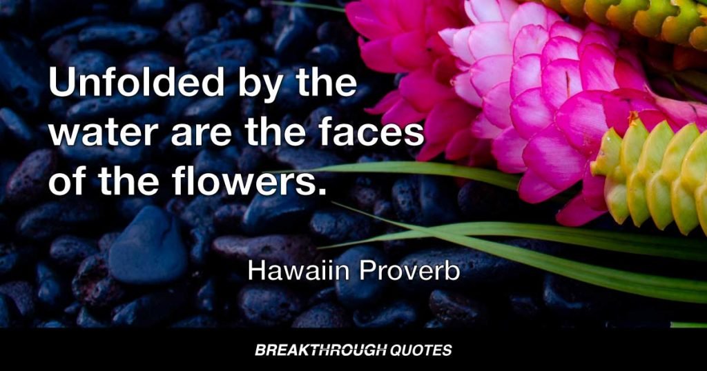 Unfolded by the water are the faces of the flowers. — Hawaiin Proverb