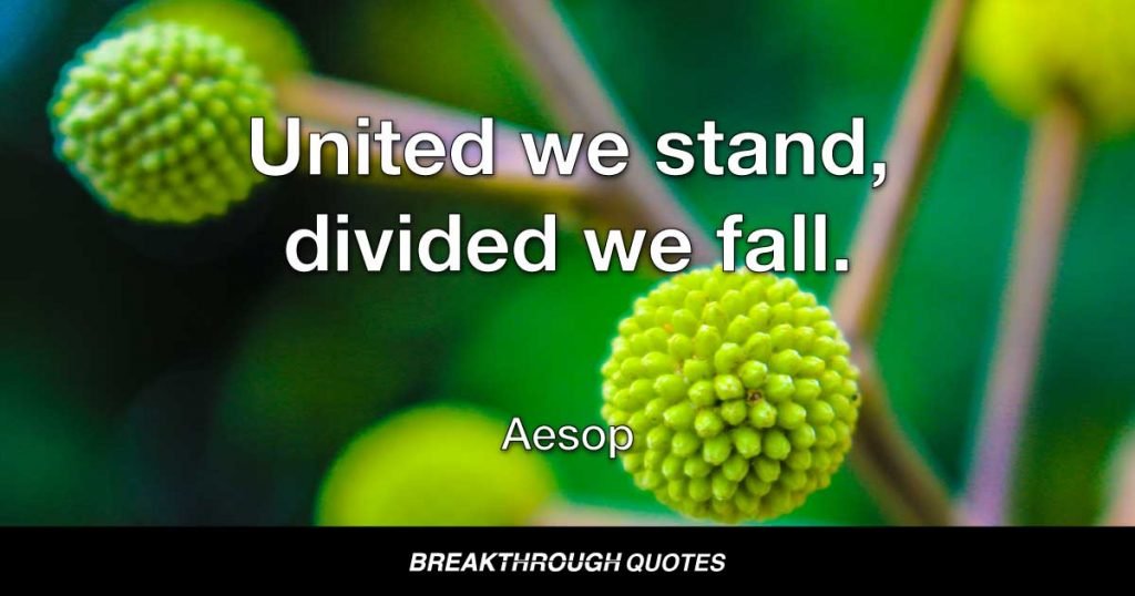 United we stand, divided we fall. — Aesop