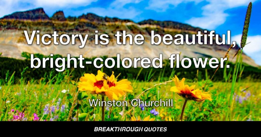 Victory is the beautiful, bright-colored flower. Transport is the stem without which it could never have blossomed. — Winston Churchill