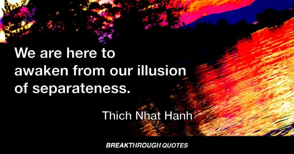 We are here to awaken from our illusion of separateness. — Thich Nhat Hanh