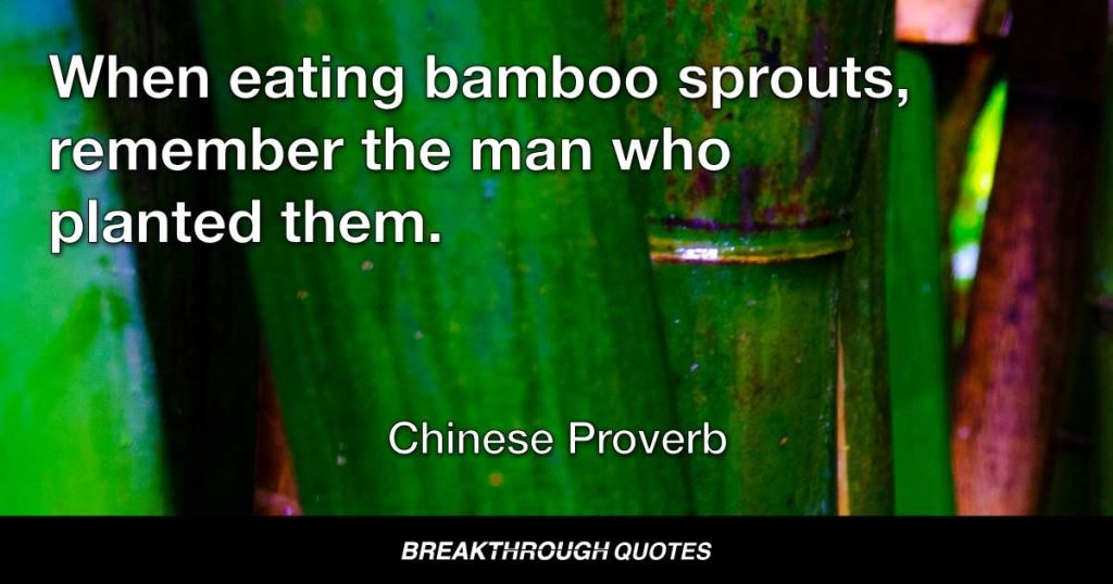 When eating bamboo sprouts, remember the man who planted them. — Chinese Proverb
