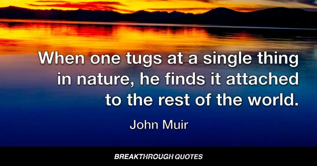 When one tugs at a single thing in nature, he finds it attached to the rest of the world. — John Muir