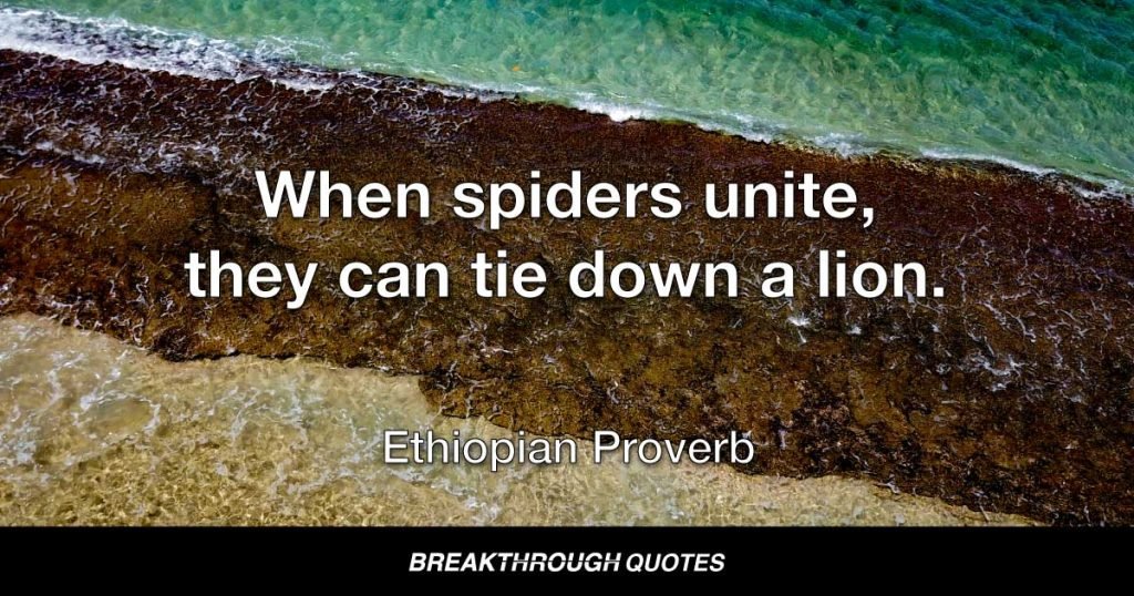 When spiders unite, they can tie down a lion. — Ethiopian Proverb