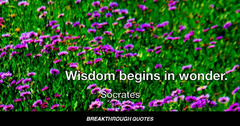 Wisdom begins in wonder. — Socrates
