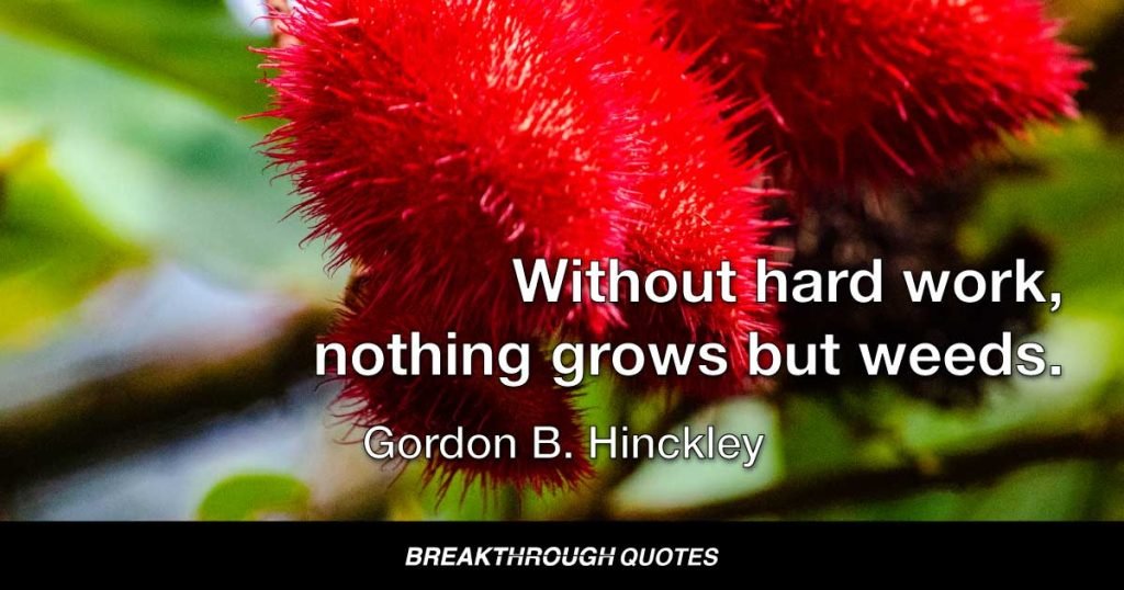 Without hard work, nothing grows but weeds. — Gordon B. Hinckley