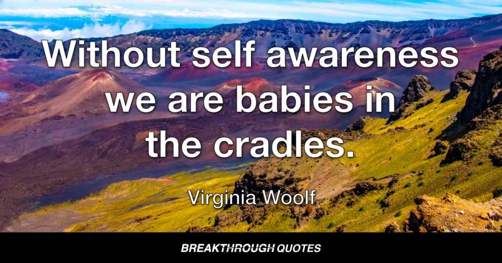 Without self awareness we are babies in the cradles. — Virginia Woolf